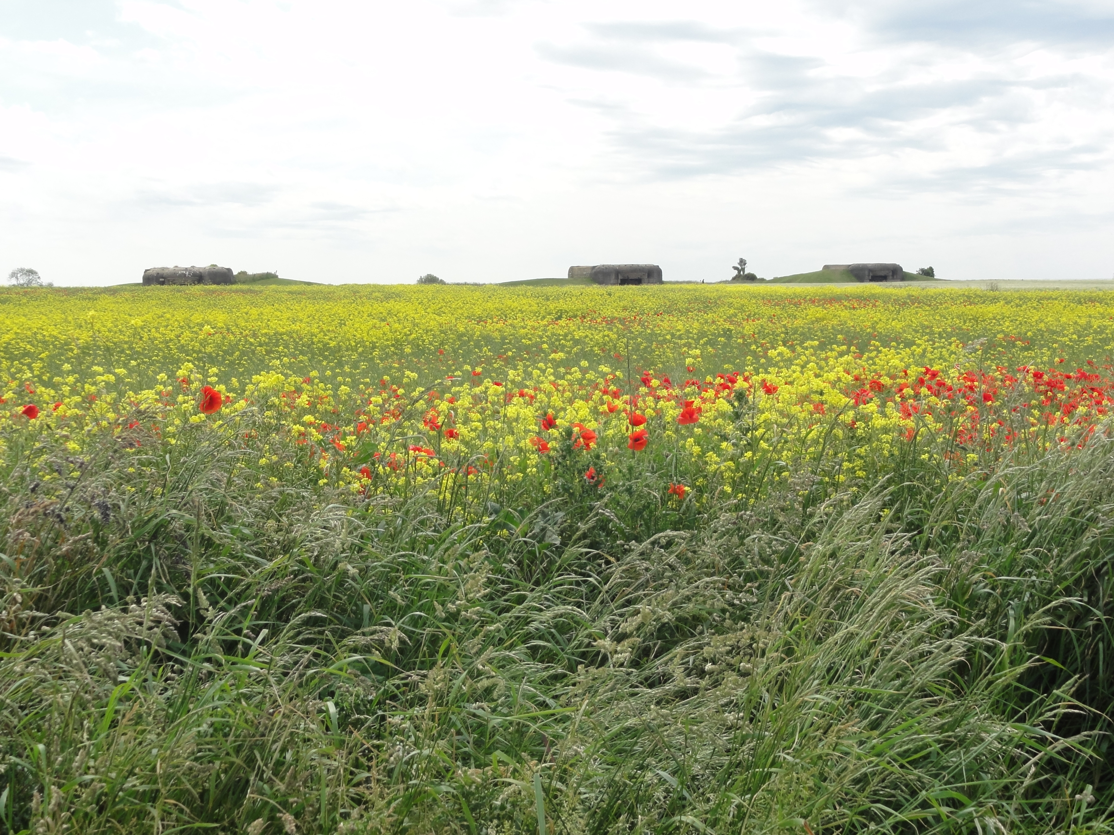 German outposts against a beautiful Norman field