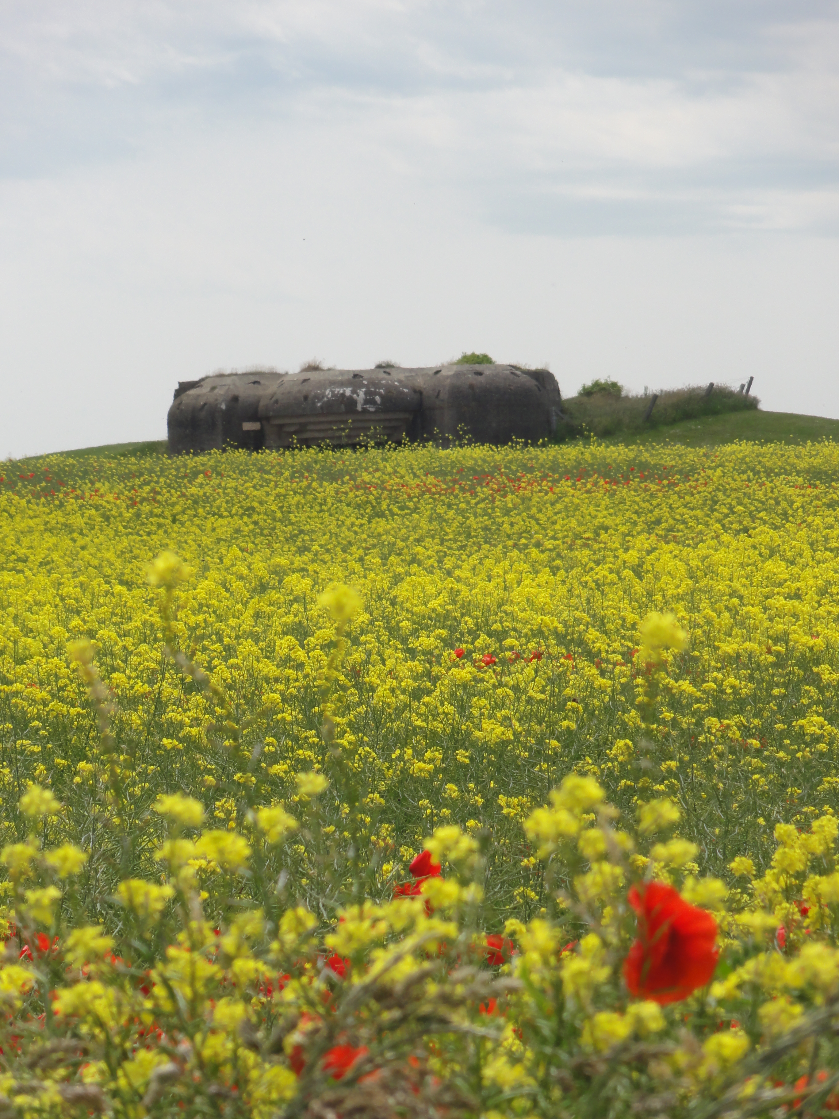 German outposts against a beautiful Norman field