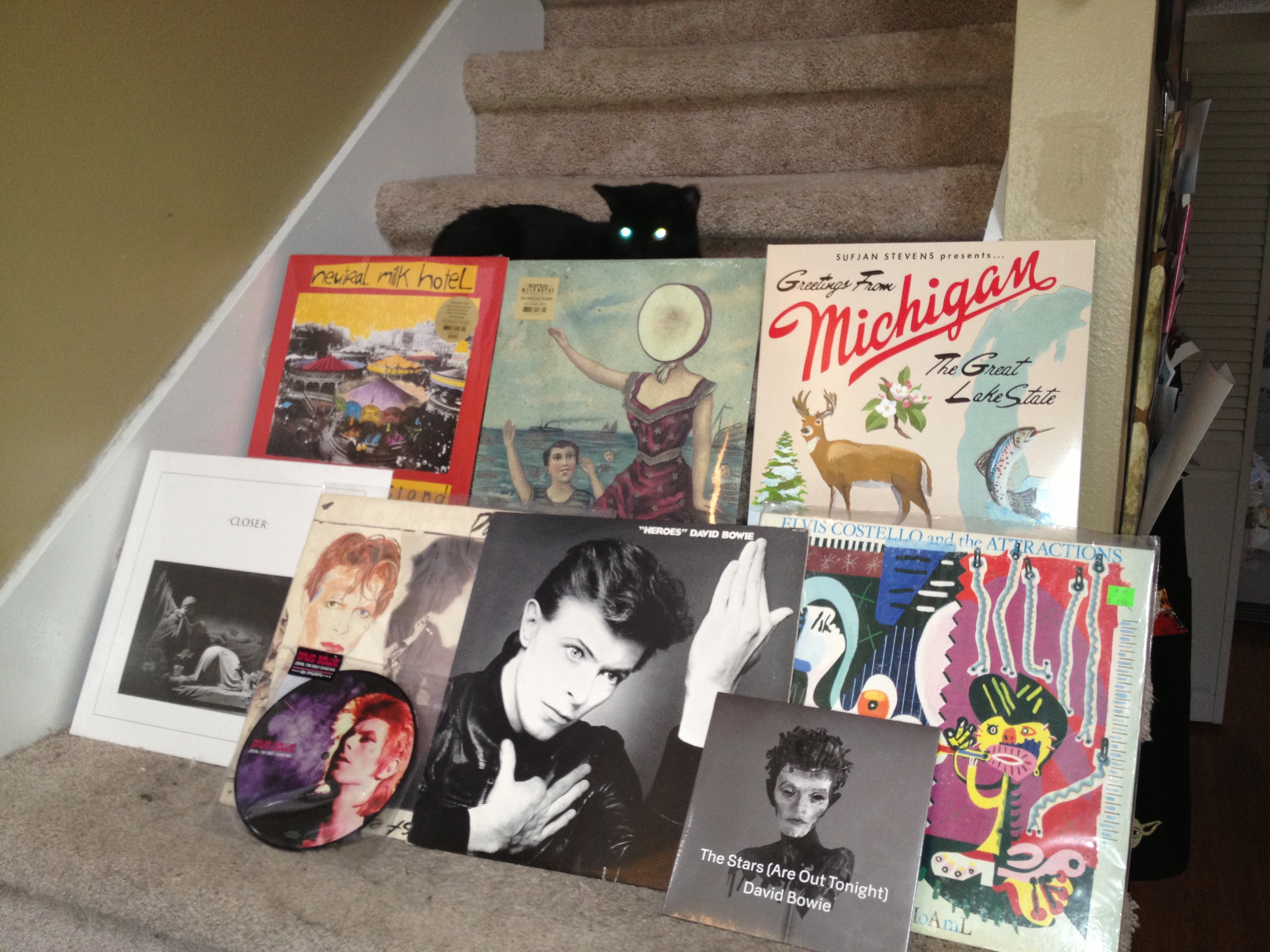 2013 Record Store Day Haul.  Spooky insisted in being in the picture. 