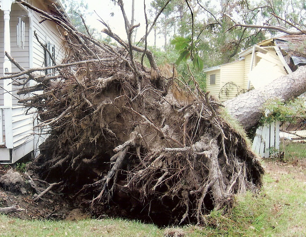 Hurricane Katrina