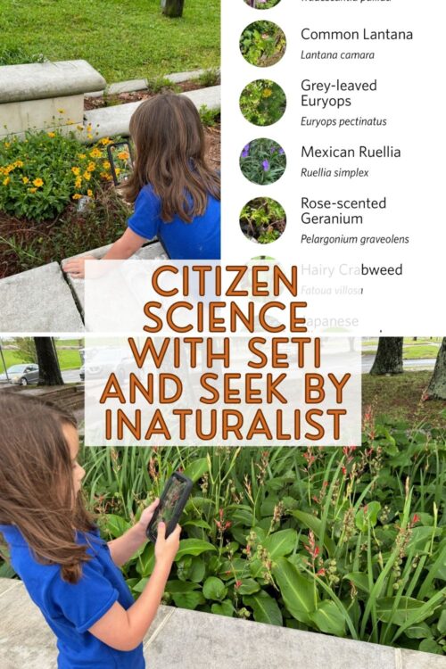 Citizen Science with SETI and Seek by iNaturalist