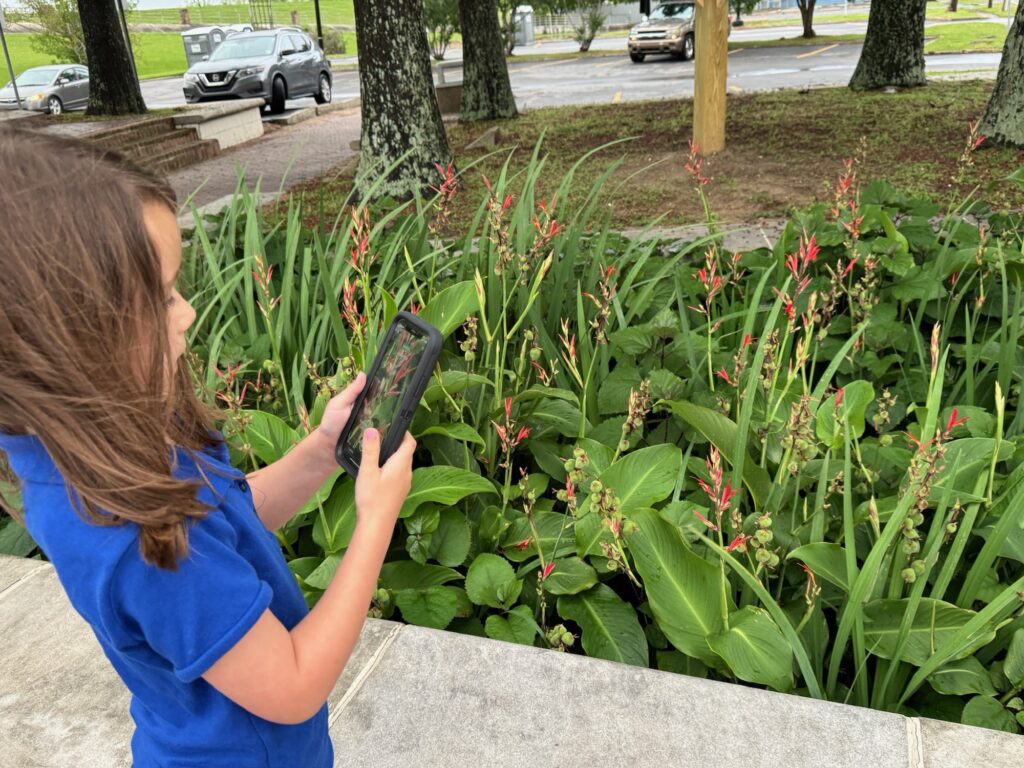 Young girl doing citizen  science with seek
